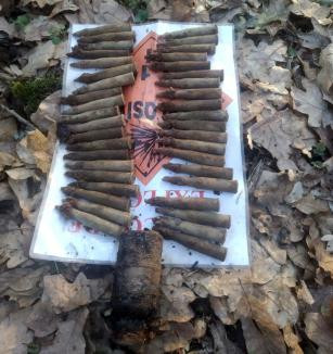 Descoperirea făcută de un bărbat cu detectorul de metale, într-o pădure din Bihor. FOTO