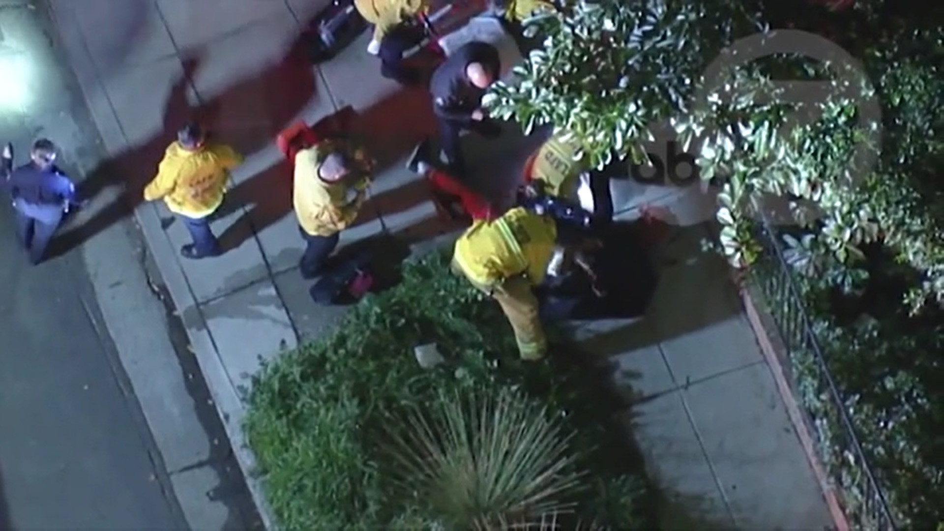 VIDEO. Momentul când bărbatul care îi plimba câinii cântăreței Lady Gaga este împușcat