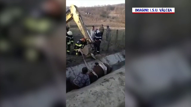 Operațiune dramatică în județul Vâlcea. Un cal a fost salvat, după ce a căzut într-un canal de irigații