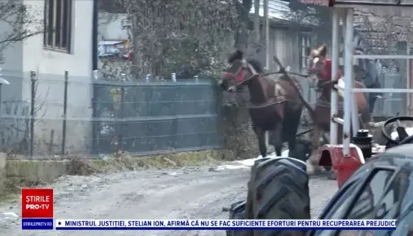 Zeci de copii, nevoiți să meargă 10 km până la școală, pentru că unitățile din satele lor se închid