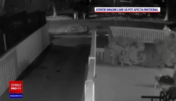 VIDEO. Momentul când bărbatul care îi plimba câinii cântăreței Lady Gaga este împușcat