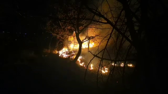 Incendiu în județul Dâmbovița. Peste 10 hectare de vegetație au ars