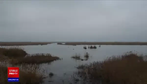 Lacul Zaghen de lângă Tulcea, sufocat de gunoaie. Paznicul are program doar până la 4
