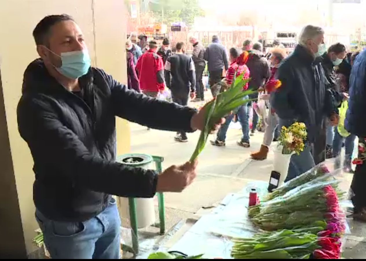 Flori de 1 martie. Zambilele şi lalelele, cele mai căutate