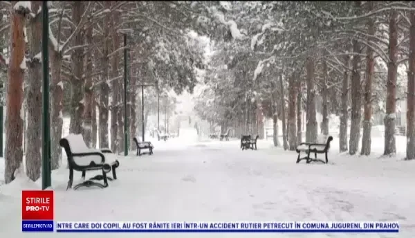 Horoscop 28 februarie 2021, prezentat de Neti Sandu. Leii își vor întâlni sufletul pereche