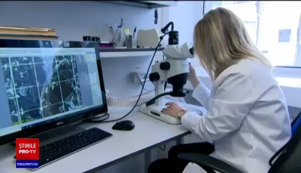 Institutele de cercetare din România supraviețuiesc cu greu. Cum se finanțează și ce proiecte au