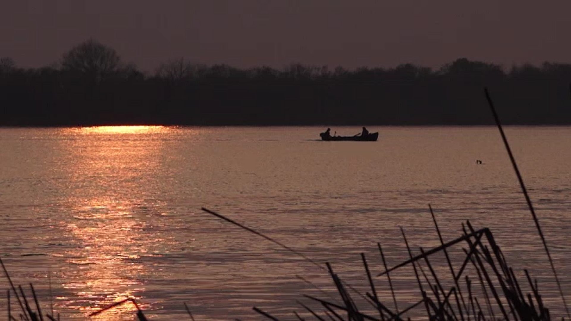 Tot mai mulți oameni își cumpără teren sau case în satele românești. Delta Dunării este la mare căutare