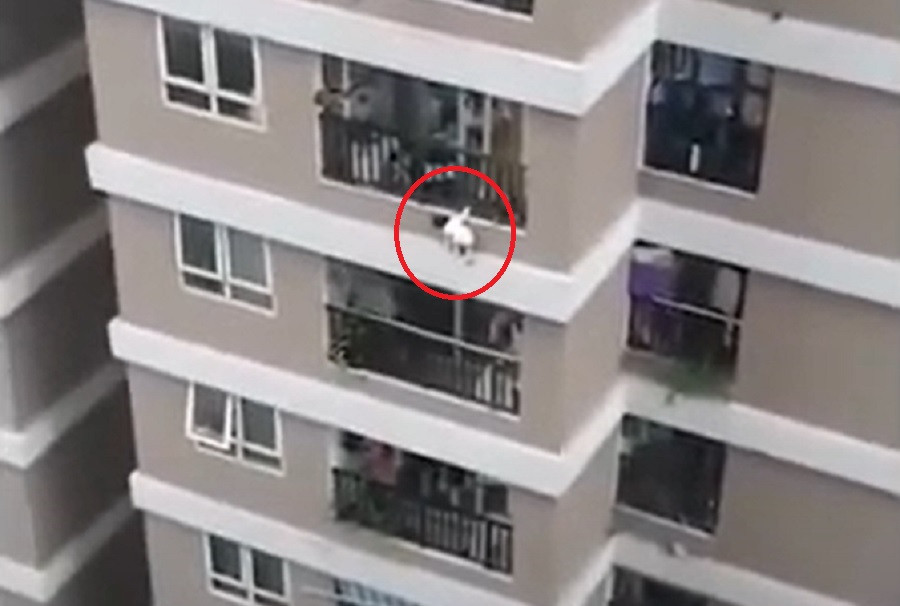 VIDEO. O fetiță de doi ani a căzut de la etajul 12 al unui bloc. Micuța a fost salvată de un curier