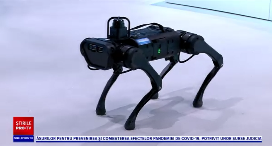 iLikeIT. Nero, primul câine robot din România. Ce poate să facă și cât costă