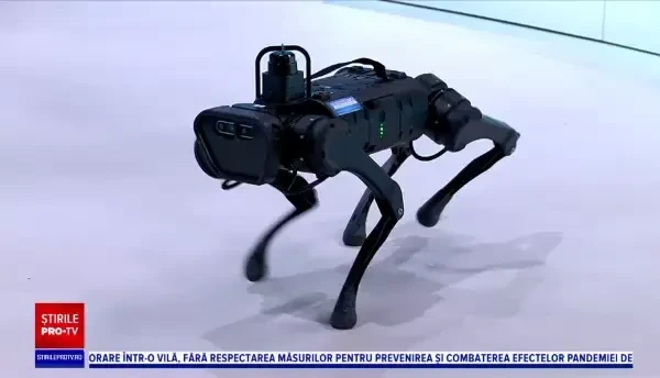 iLikeIT. Nero, primul câine robot din România. Ce poate să facă și cât costă