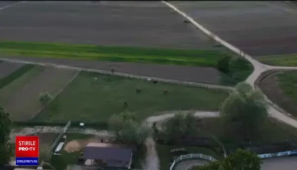 Echitaţia a câştigat tot mai mulţi adepţi în rândul copiilor din România