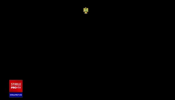 Sturion gigant, de 140 kilograme și 2,5 metri, eliberat în Tulcea. Era cărat de braconieri cu o căruță