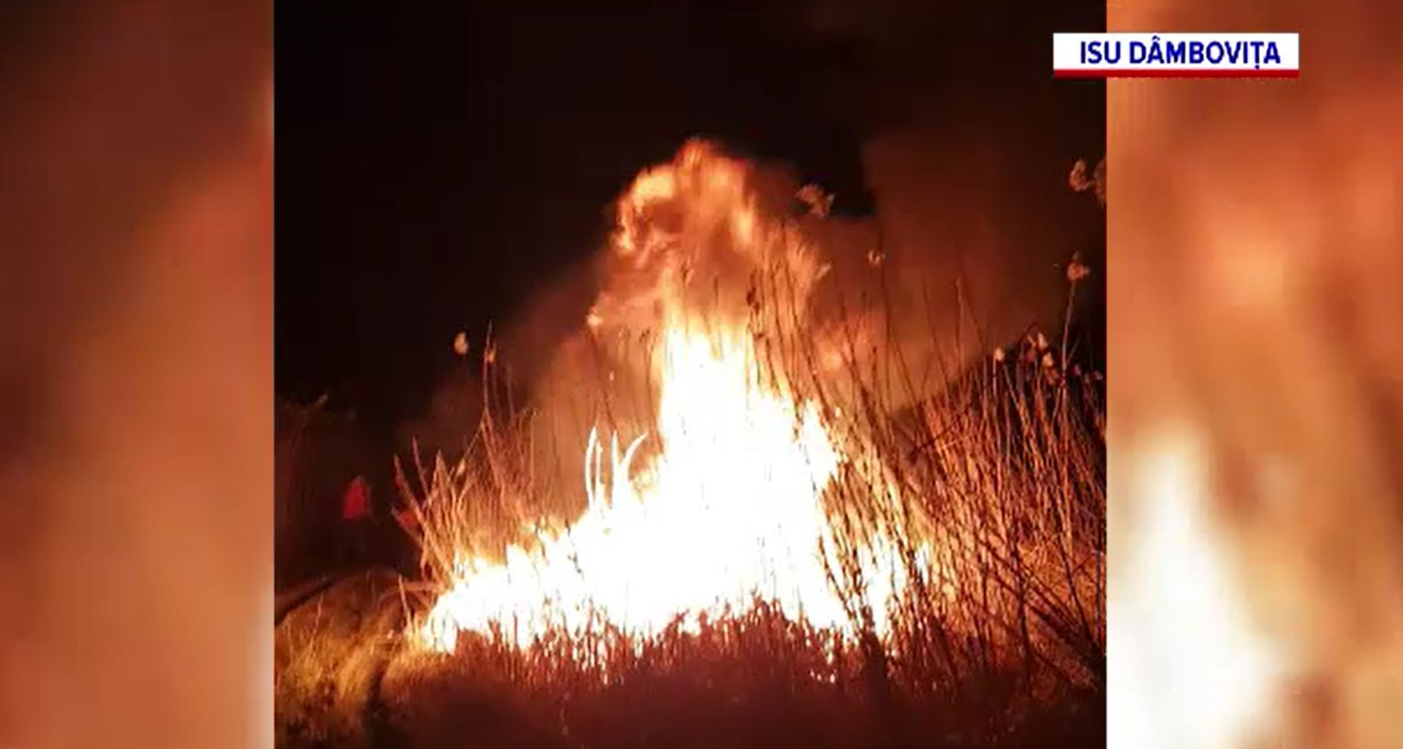 Ce riscă cei care dau foc intenționat vegetaţiei. Amenzile sunt uriașe