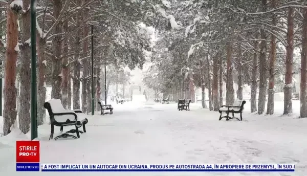 Horoscop 7 martie, cu Neti Sandu. Balanțele vor reuși să rezolve probleme importante