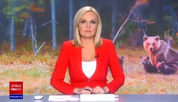 Reacția unor turiști când și-au dat seama că sunt urmăriți de urși, în Munții Baiului