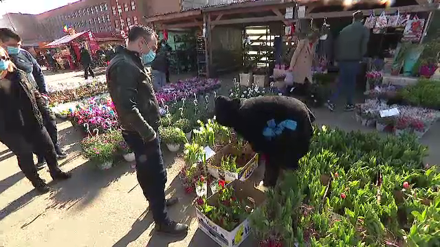 8 Martie în pandemie, cu flori, prăjituri și spectacole online. ”Căutăm mici bucurii în orice”