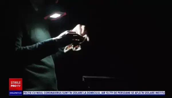 Drone la vânătoare de molii. Soluția unei companii olandeze pentru a proteja culturile din sere