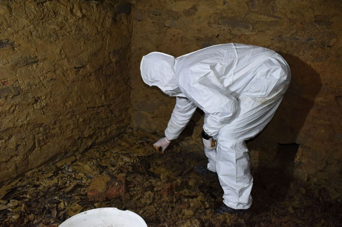 FOTO. Descoperirea făcută de arheologi într-o criptă din interiorul Bisericii reformate din Fântânele