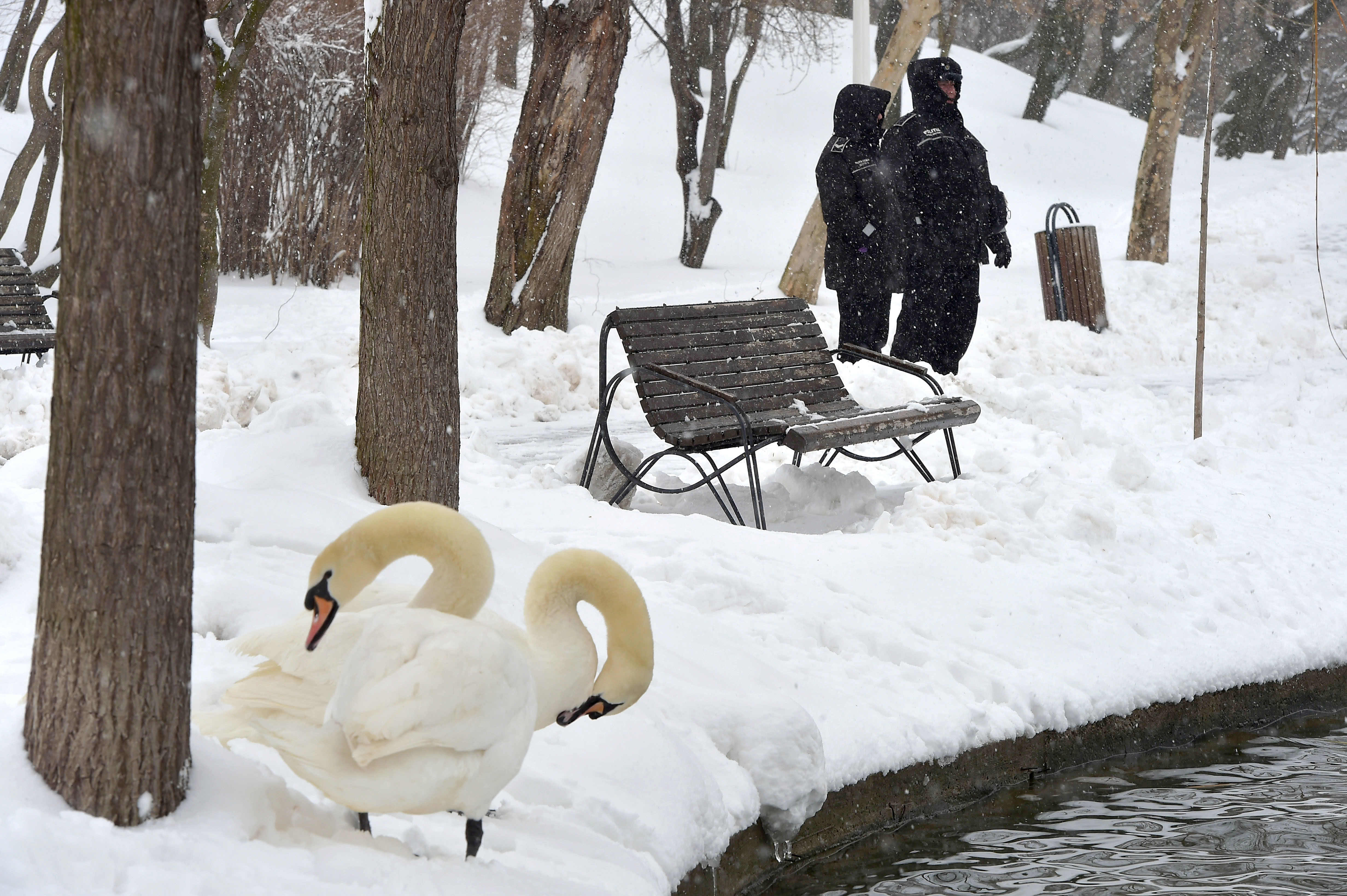 Iarna a revenit în România în luna martie