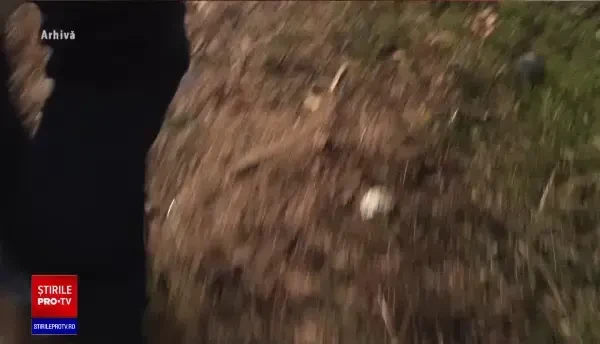 Un bărbat din Neamţ a vrut să jefuiască o bătrână. Şocant ce i-a făcut când a văzut că are doar 7 lei