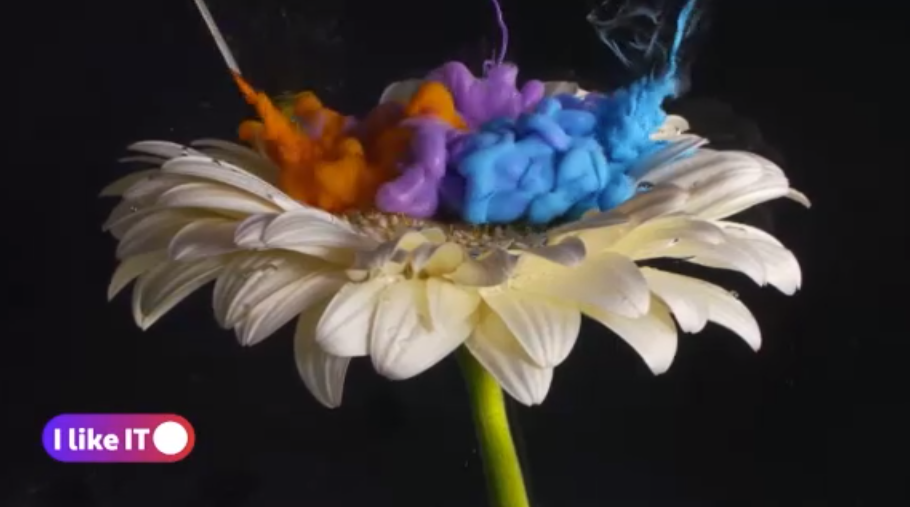 iLikeIT. Incursiune în universul New Media Art, unde arta se îmbină perfect cu tehnologia