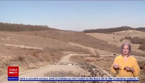 Drum "răsărit" peste noapte într-o pădure din Cluj. Se spune că e începutul unui proiect imobiliar