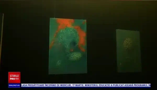 Curajoșii sunt așteptați în apele reci ale Mării Albe. Rușii au deschis o galerie de artă subacvatică