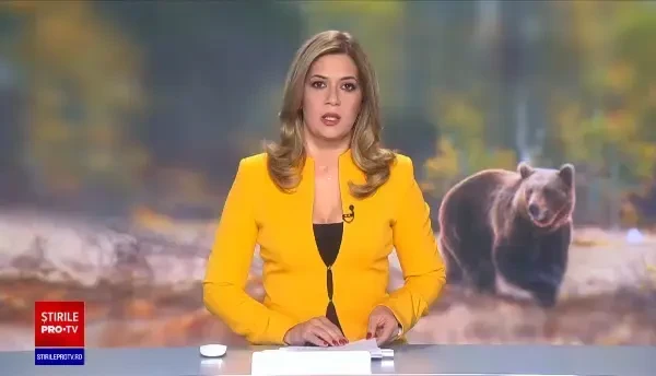 Urs filmat în Azuga, în timp ce smulgea scânduri din gardul unei gospodării. Cum l-au alungat localnicii | VIDEO