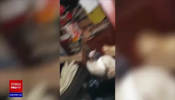 Reacția unei femei care ține 40 de pisici în apartament, când vecinii s-au plâns din cauza mirosului