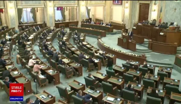 Moțiunea simplă împotriva ministrului Economiei a fost respinsă în Senat