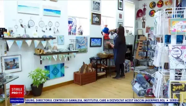 Accident rutier provocat de un câine în SUA. Animalul a intrat cu o mașină într-o clădire