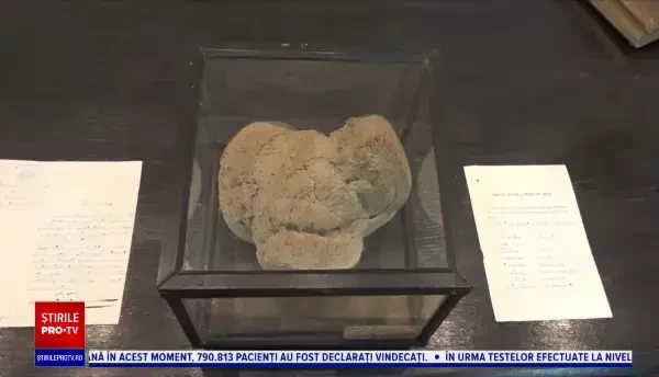 Cea mai veche pâine din lume poate fi admirată la Muzeul de Istorie din Galați
