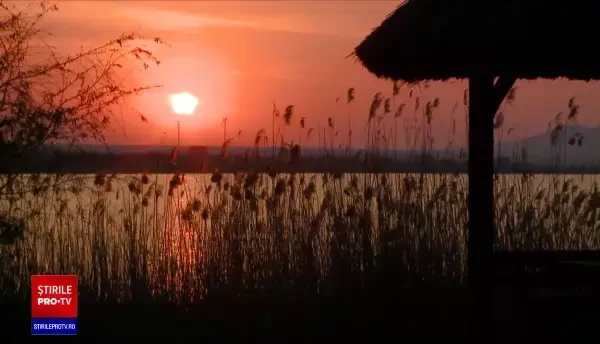 Cercetătorii români au găsit în Delta Dunării specii de plante și pești considerate dispărute