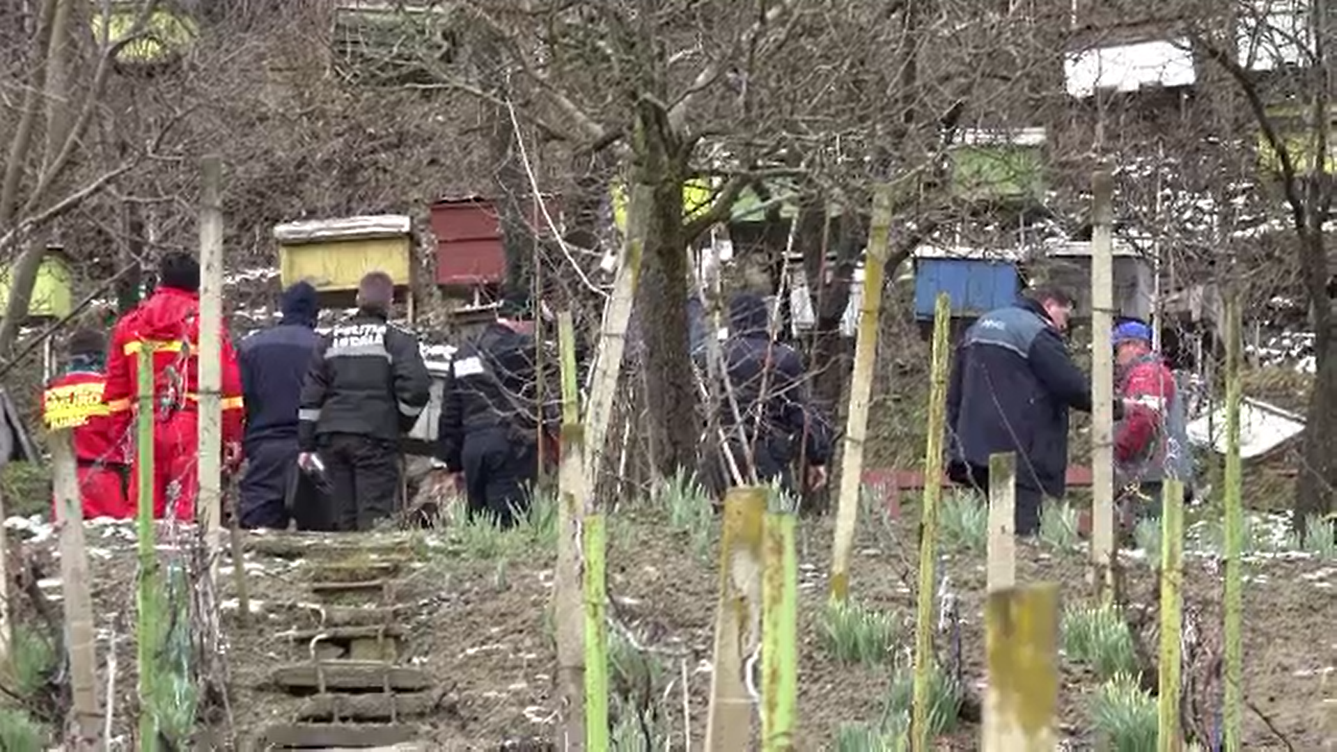 Ursul care terorizează un cartier din Târgu Mureș va fi relocat săptămâna viitoare