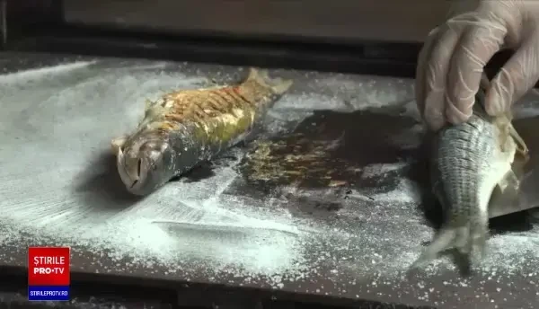 Cum reușesc să supraviețuiască restaurantele cu specific pescăresc de la malul mării, pe timp de pandemie