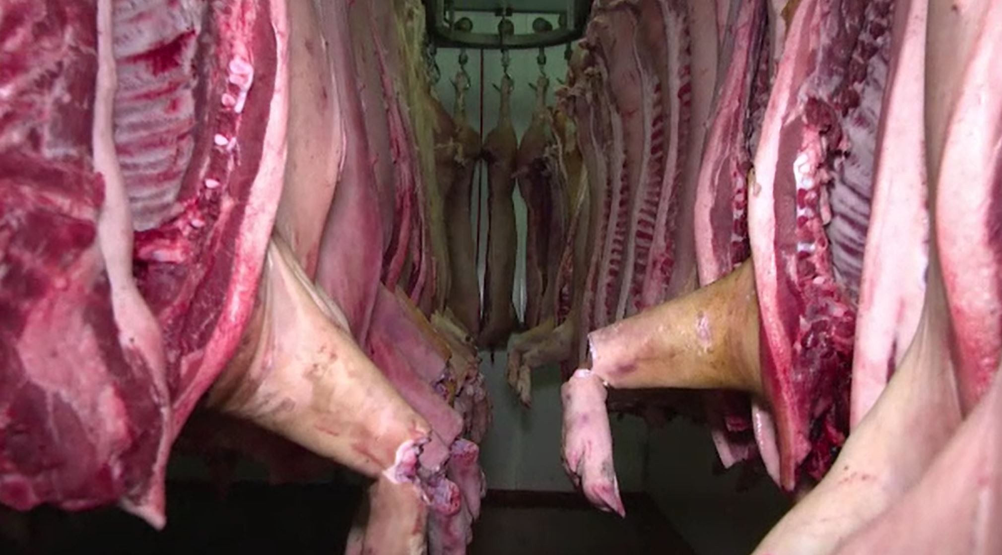 Carnea de porc, mai ieftină cu 30% în această perioadă. Ce a dus la scăredea majoră de preț