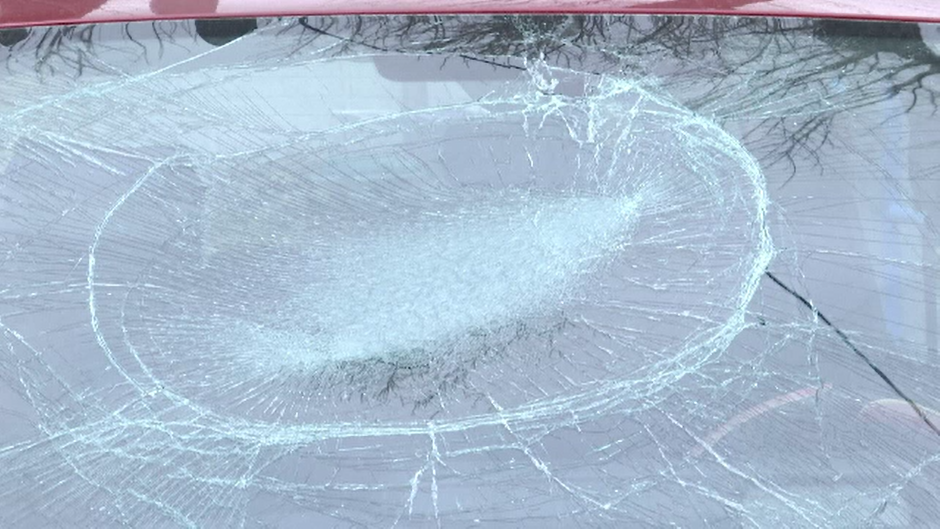 O pisica a scăpat cu bine după ce a căzut de la etajul al şaselea al unui bloc pe parbrizul unei mașini