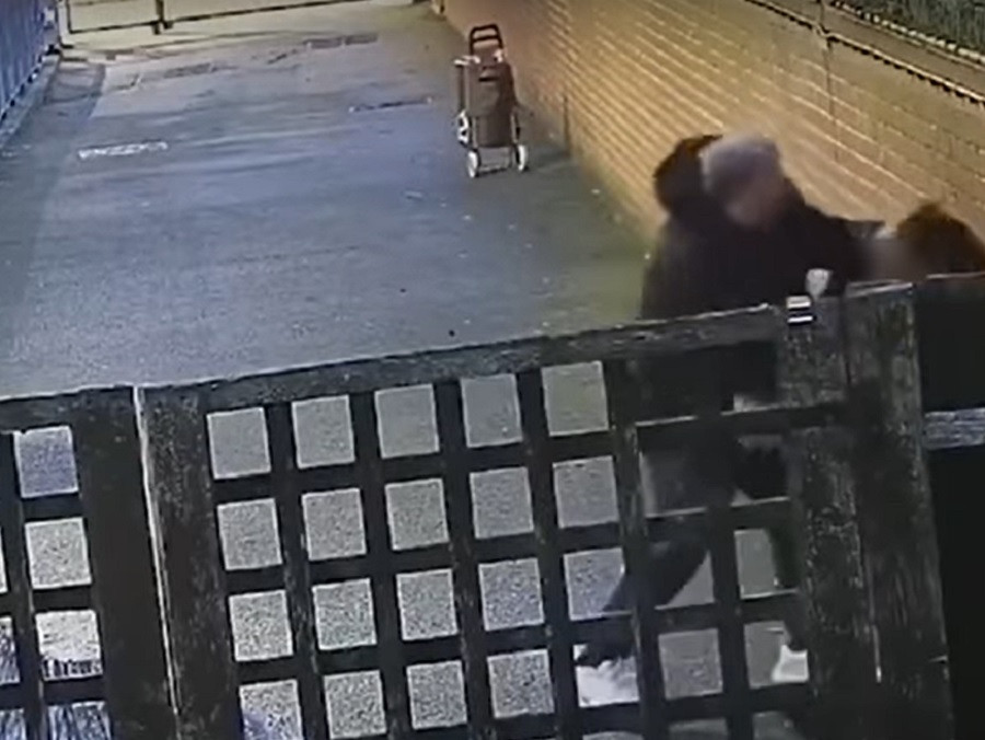 VIDEO. Atac înfiorător în Londra. O tânără însărcinată, lovită fără milă cu pumnii în stomac