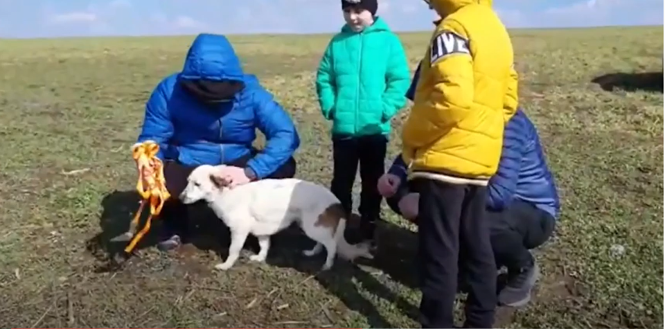 Cum au salvat doi copii din Vaslui un cățel căzut într-o fosă septică. VIDEO emoționant