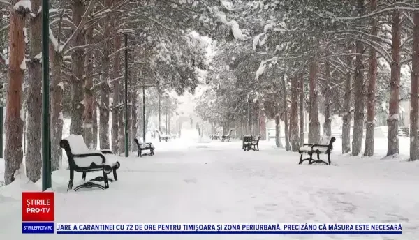 Horoscop 22 martie 2021, cu Neti Sandu. Leii vor primi mai multe oferte de lucru