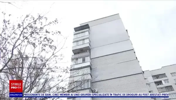 O pisica a scăpat cu bine după ce a căzut de la etajul al şaselea al unui bloc pe parbrizul unei mașini