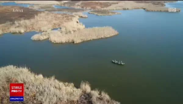 Lovitură pentru pescari. Speciile de pești pe care nu mai au voie să le rețină în acest an, în Deltă