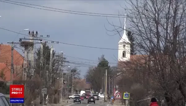 Berzele încep să se întoarcă din ţările calde. Unele păsări au zburat și 11.000 km