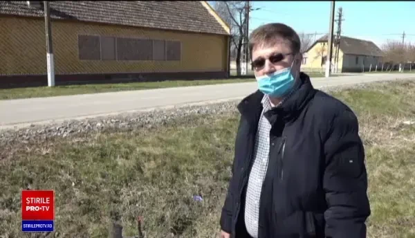 Zeci de nuci plantați de o primărie din Arad au fost rupți sau furați. Ce spun autoritățile