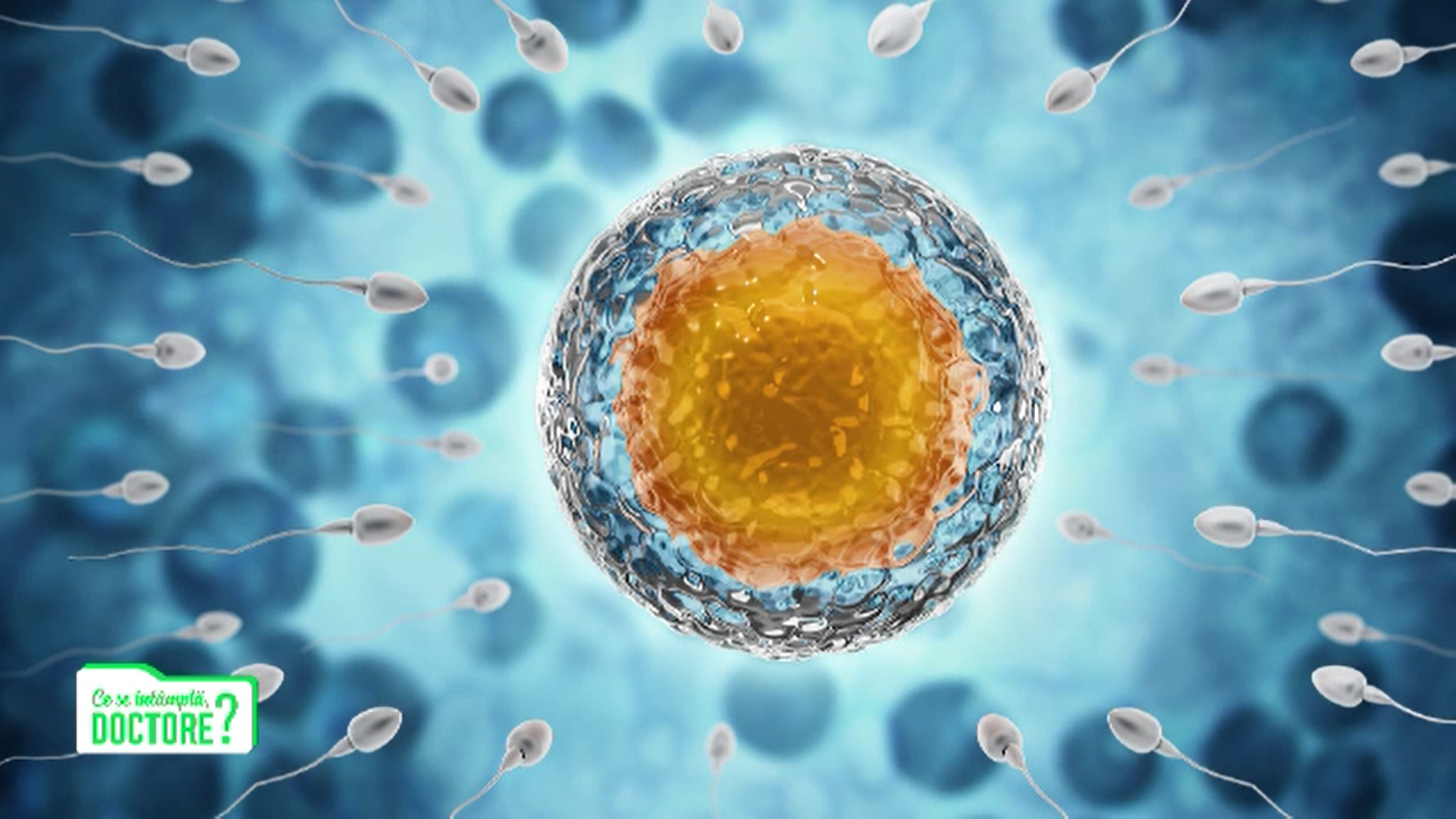 Cum apare cel mai des infertilitatea de cauză masculină