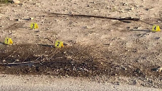 Fostul șef al vânătorilor din Suceava a fost reținut pentru uciderea unui câine și deținerea ilegală de arme