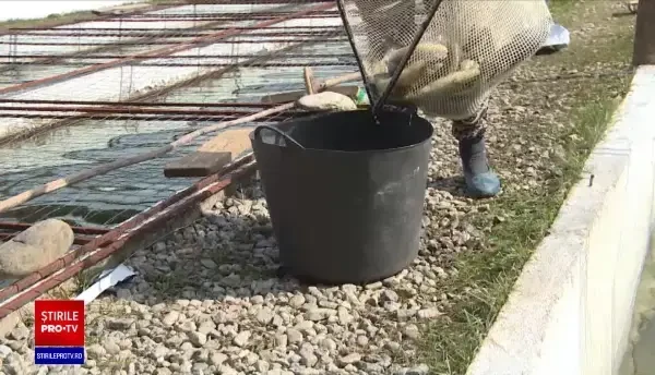 Buna Vestire, cea mai veche sărbătoare a Maicii Domnului. Tradiții la români cu această ocazie