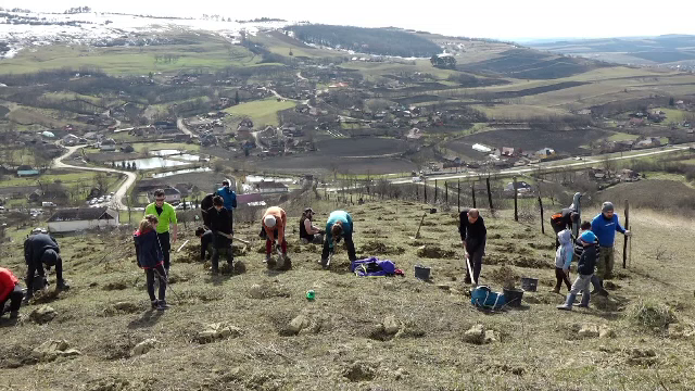 Voluntarii de la „Tășuleasa Social” vor să împădurească cinci hectare cu goruni. Unde se va desfășura acțiunea