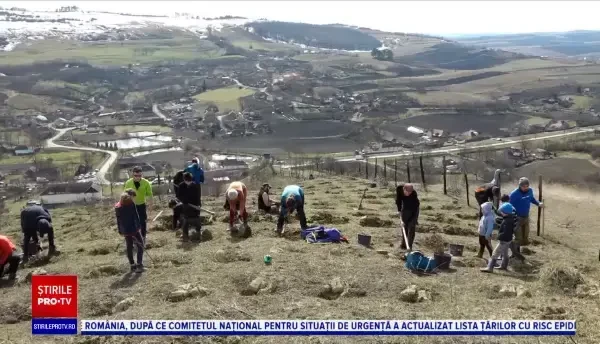 Voluntarii de la „Tășuleasa Social” vor să împădurească cinci hectare cu goruni. Unde se va desfășura acțiunea