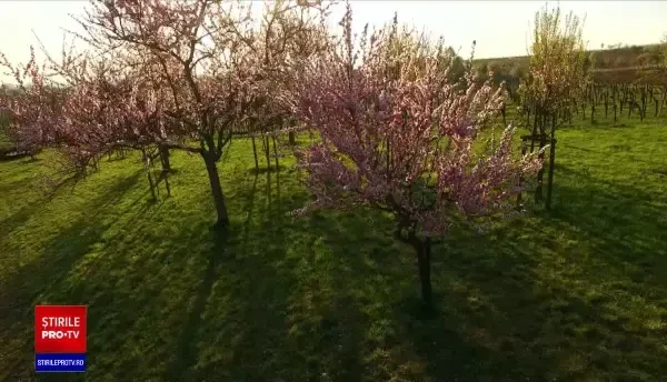 Prima zi adevărată de primăvară. Oamenii s-au bucurat de vremea superbă, chiar înaintea înăspririi restricțiilor